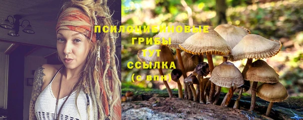 jwh Аркадак